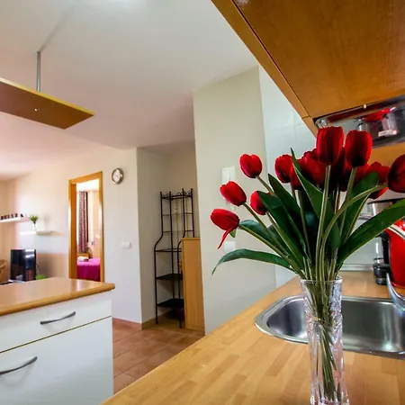 Paraiso 1 Sea View - Tenesol * Playa Paraiso (Tenerife)